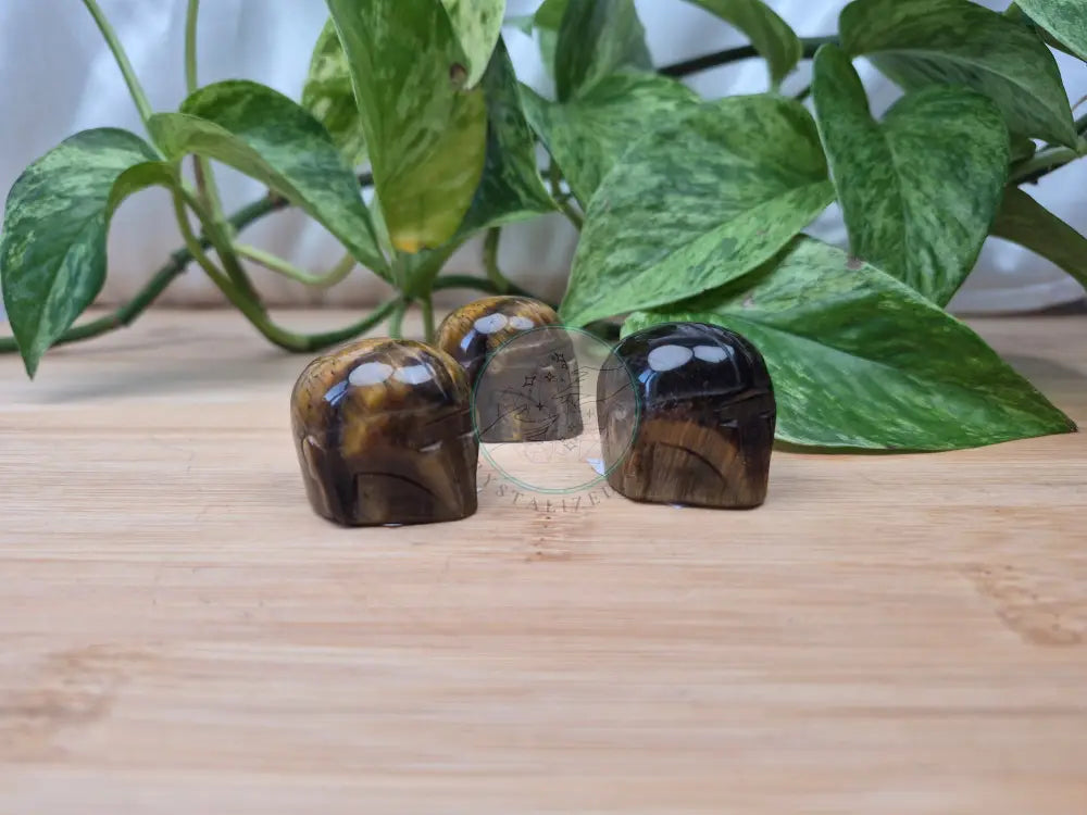 TIGERS EYE MANDO HELMET