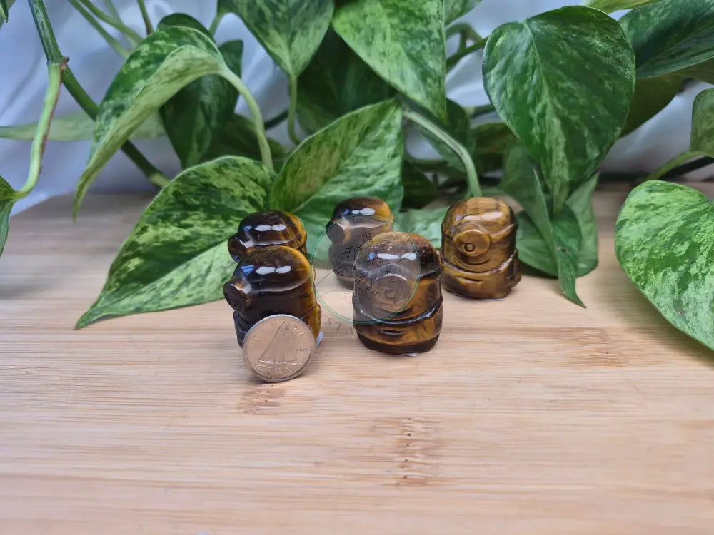 TIGERS EYE MINION