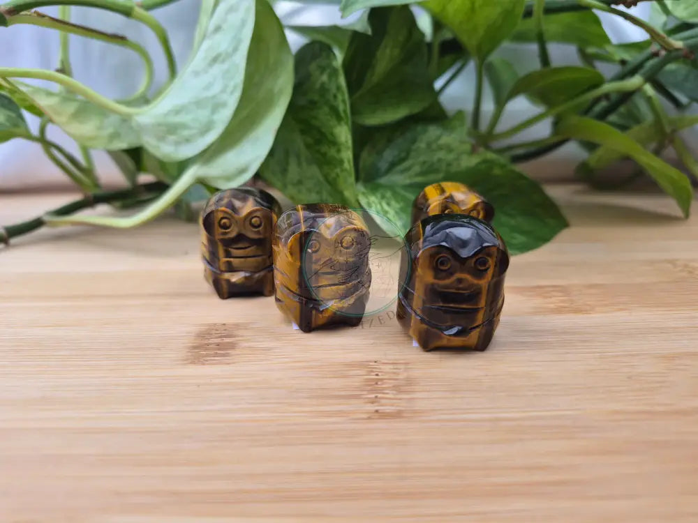 TIGERS EYE MINION