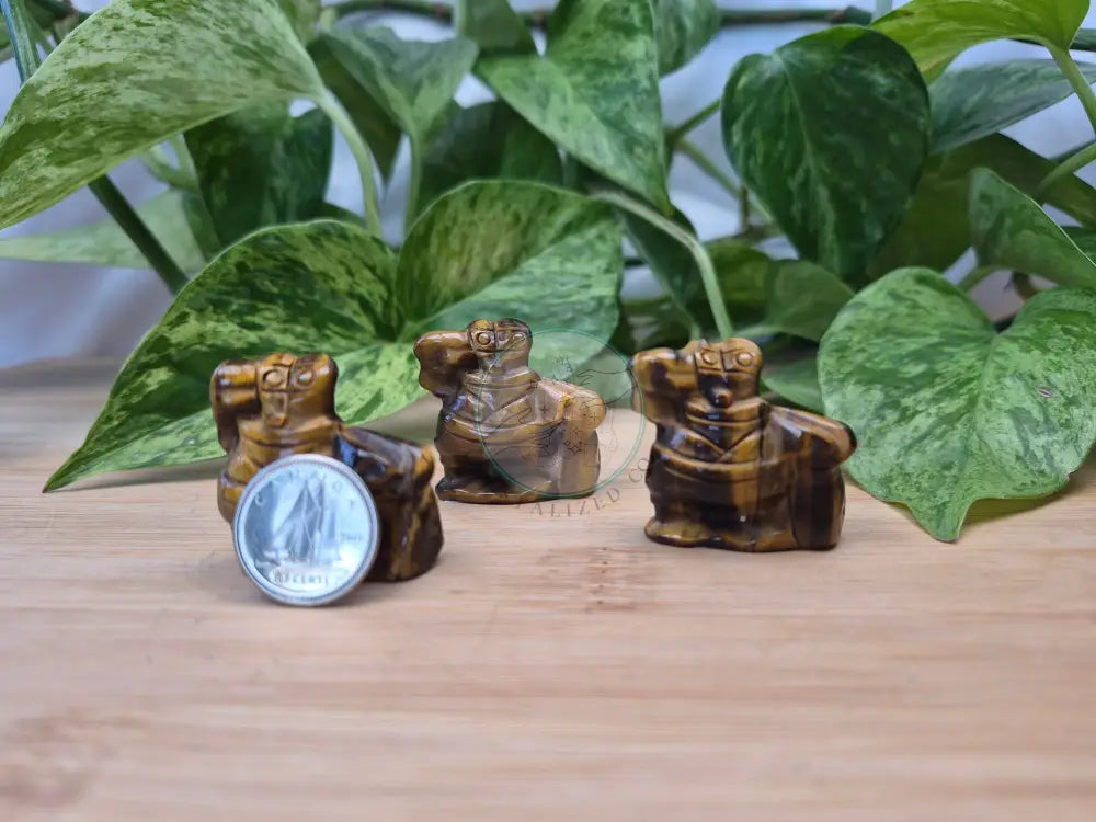 TIGERS EYE MR CRABS