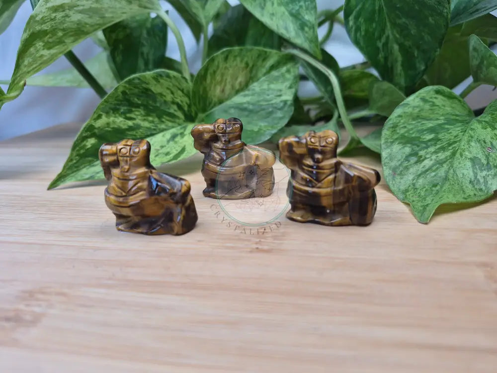 TIGERS EYE MR CRABS