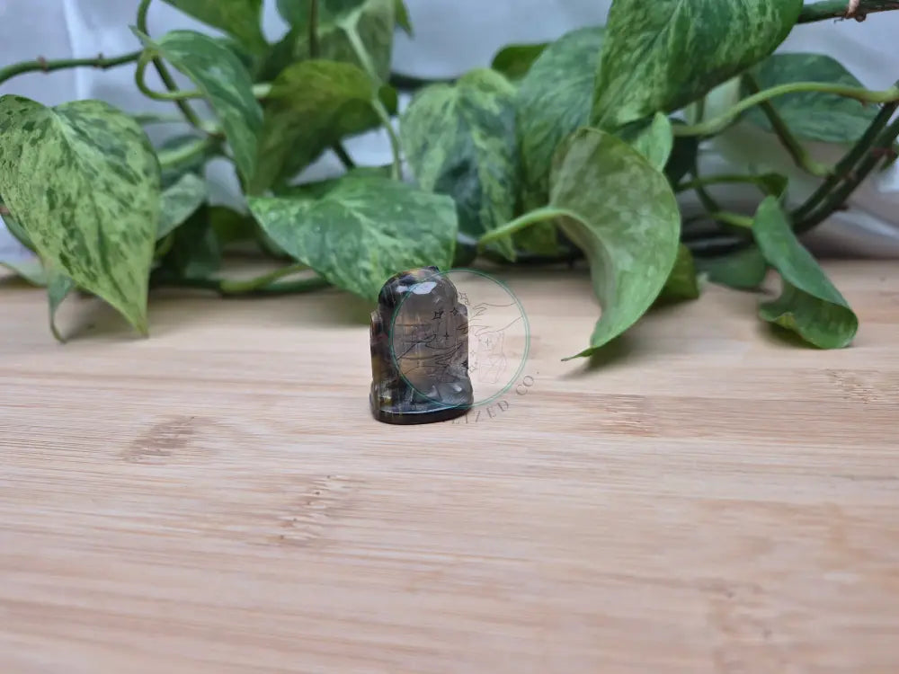 TIGERS EYE R2D2
