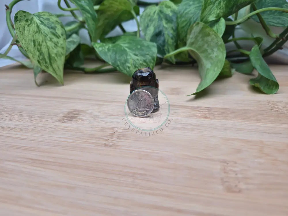 TIGERS EYE R2D2