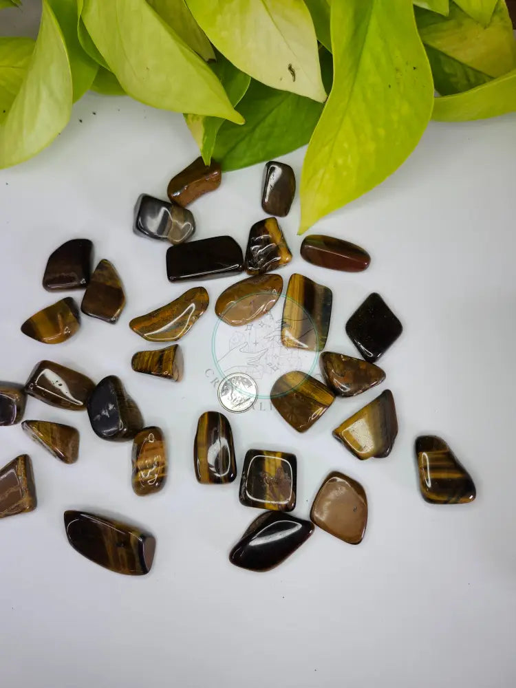 TIGERS EYE TUMBLED STONE - TUMBLED STONES