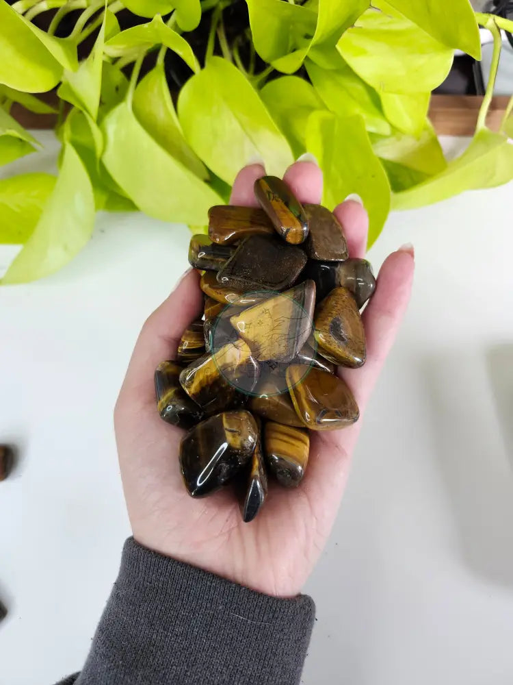 TIGERS EYE TUMBLED STONE - TUMBLED STONES