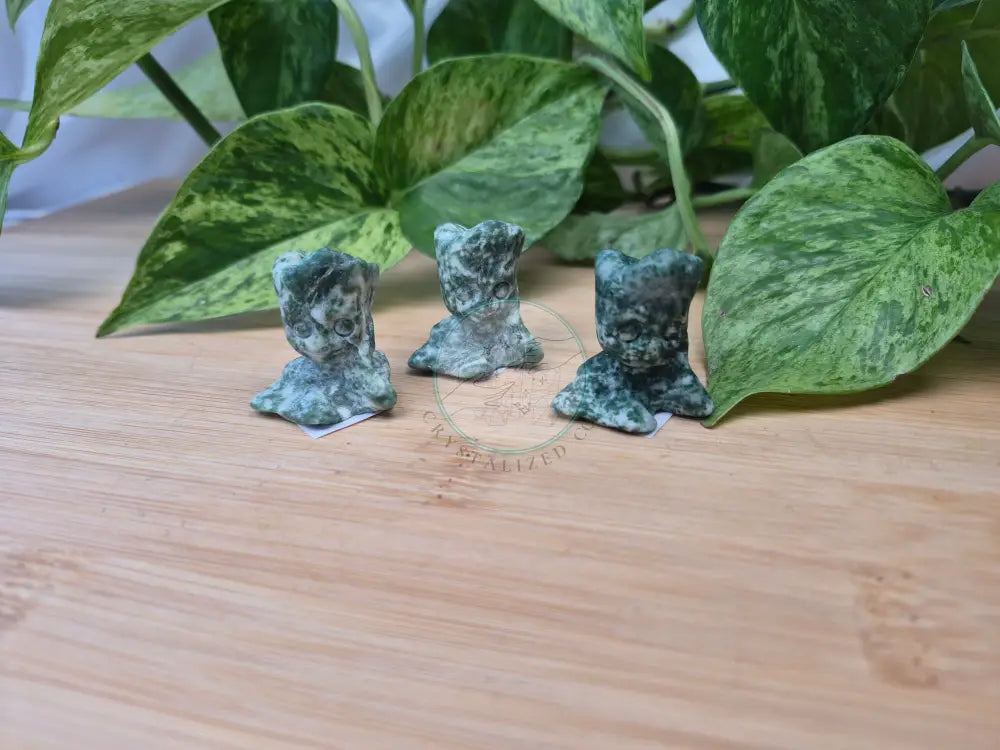 TREE AGATE GROOT
