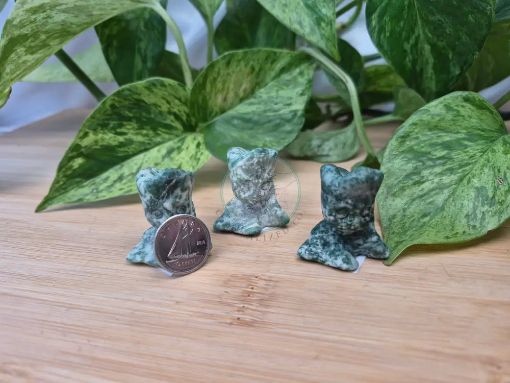 TREE AGATE GROOT