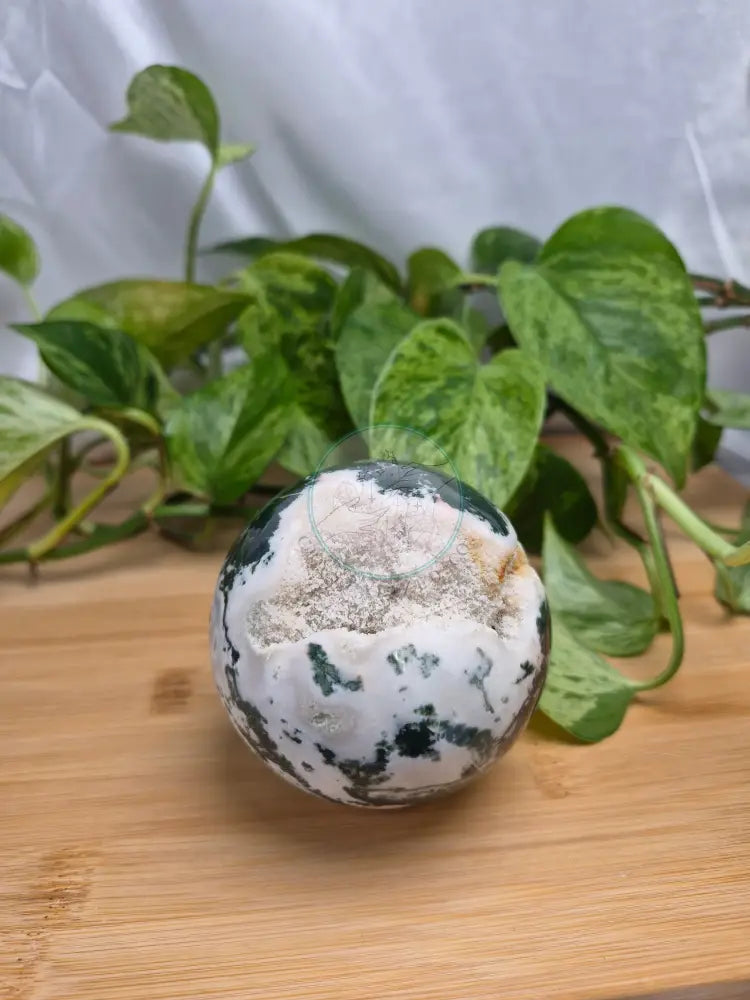 TREE AGATE SPHERE