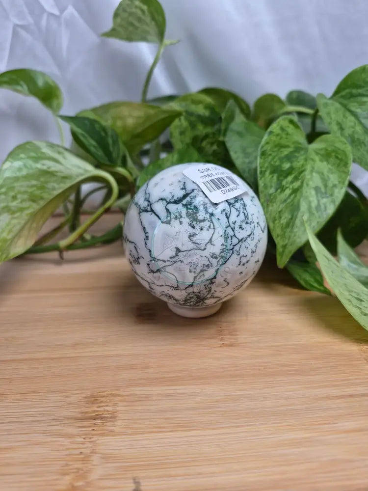 TREE AGATE SPHERE