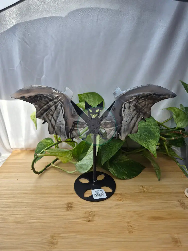 VOLCANO AGATE BAT WINGS LG