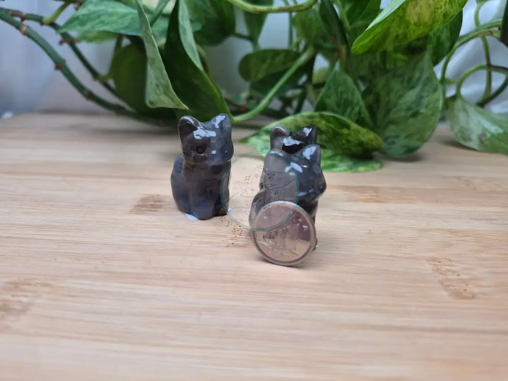 VOLCANO AGATE CAT