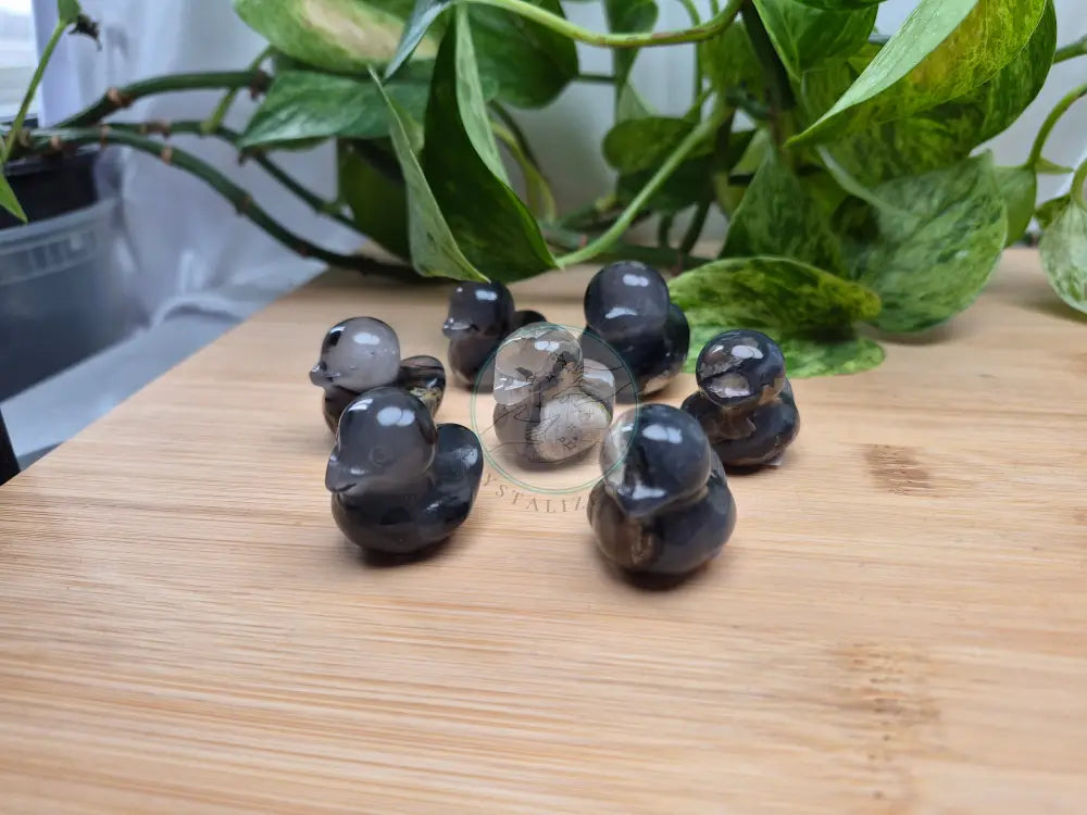 VOLCANO AGATE DUCK