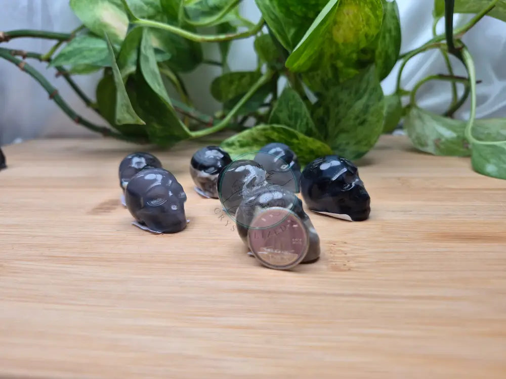 VOLCANO AGATE SKULL