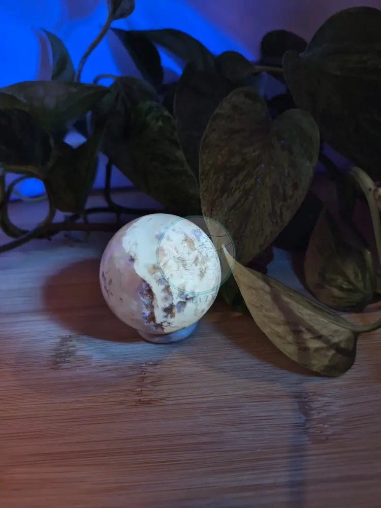 WHITE AGATE W/ CALCITE