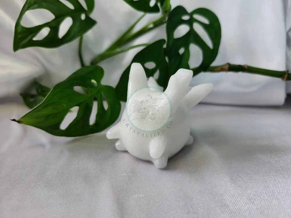 WHITE JADE CORSOLA