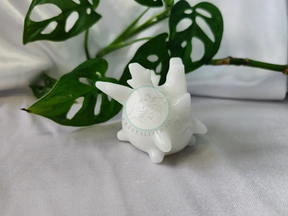 WHITE JADE CORSOLA