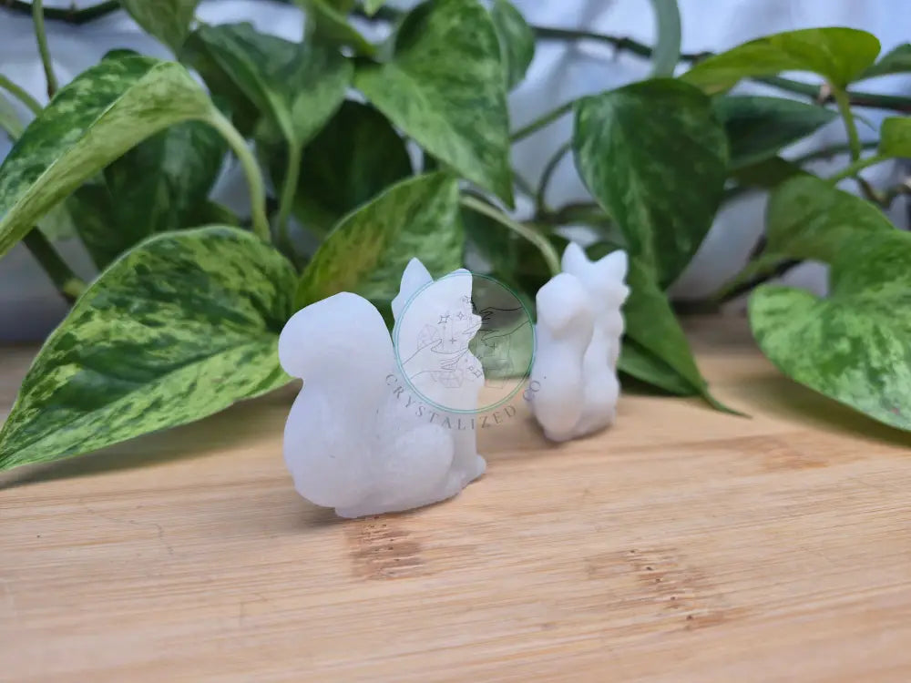 WHITE JADE FOX
