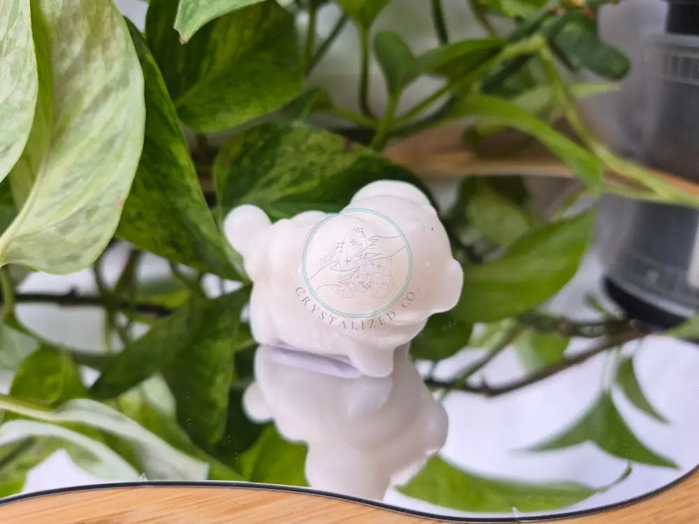 WHITE MARBLE FIDOUGH