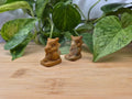 WOODSTONE CUBONE