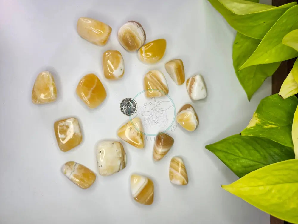 YELLOW CALCITE TUMBLED STONE - TUMBLED STONES