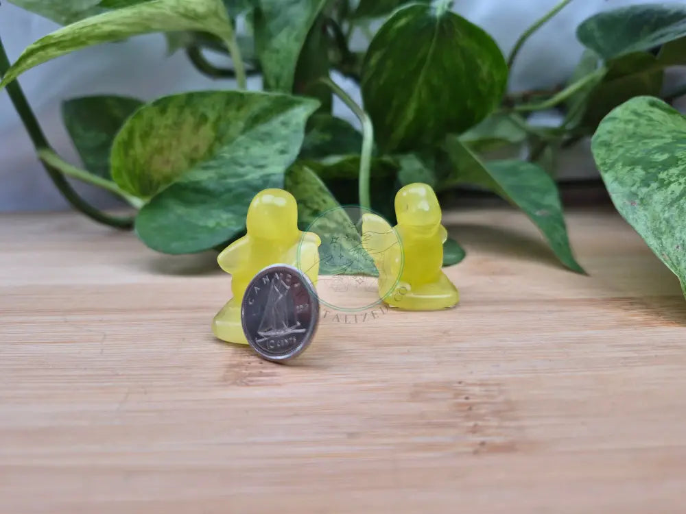 YELLOW CATS EYE CHARMANDER