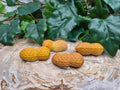 YELLOW JASPER PEANUT