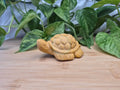YELLOW JASPER TURTLE