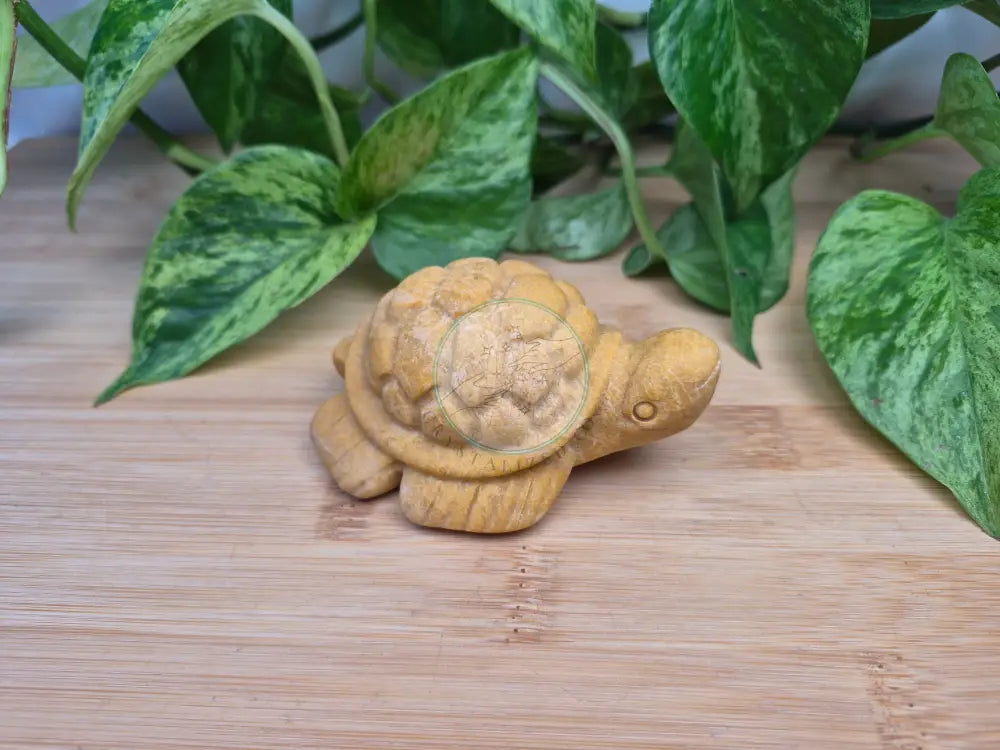 YELLOW JASPER TURTLE