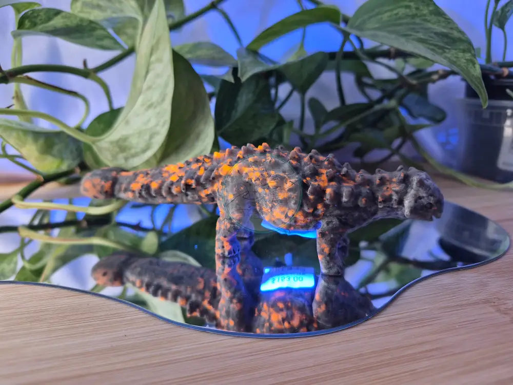 YOOPERLITE ANKYLOSAURUS