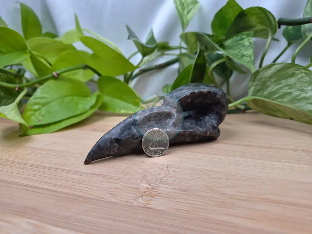 YOOPERLITE BIRD SKULL LARGE