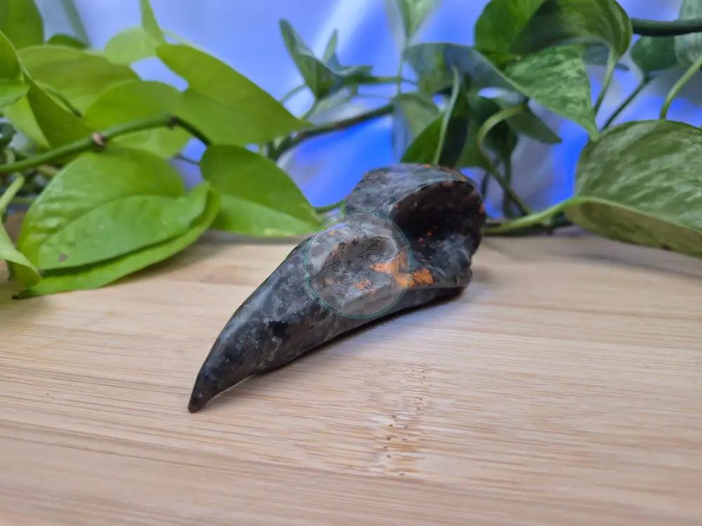 YOOPERLITE BIRD SKULL LARGE