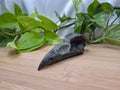 YOOPERLITE BIRD SKULL LARGE