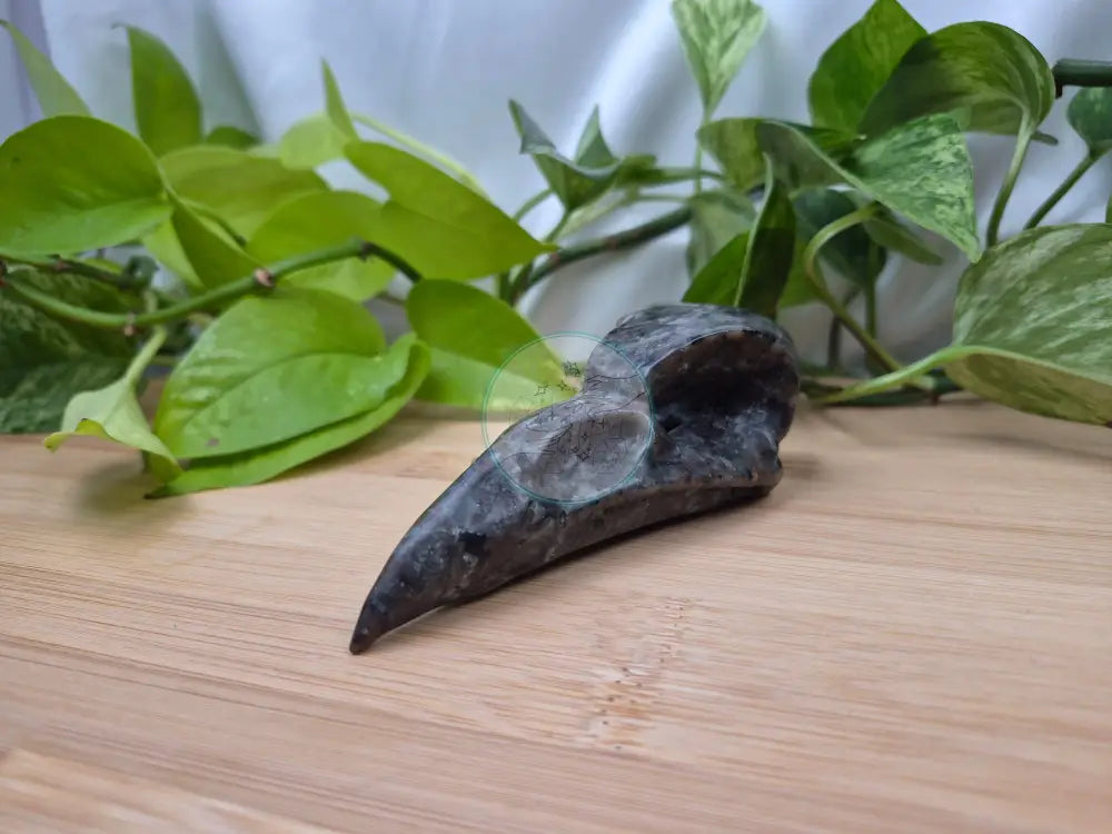 YOOPERLITE BIRD SKULL LARGE