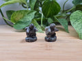 YOOPERLITE BLASTOISE