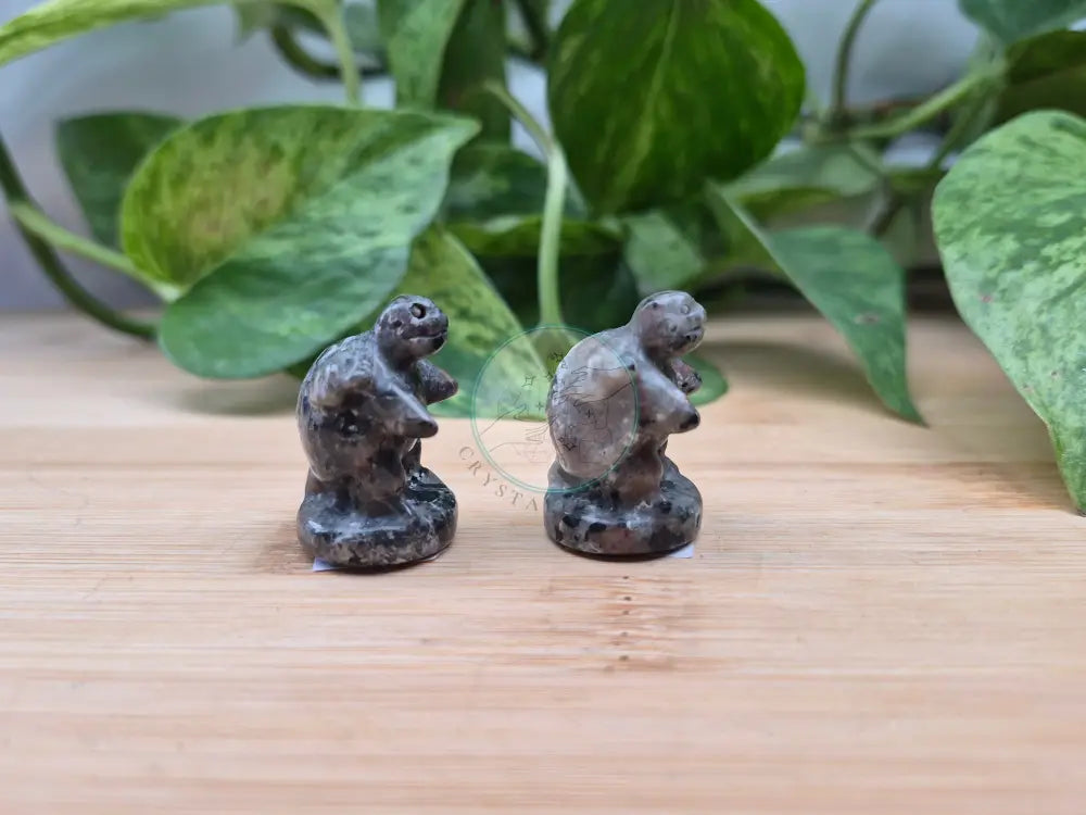 YOOPERLITE BLASTOISE