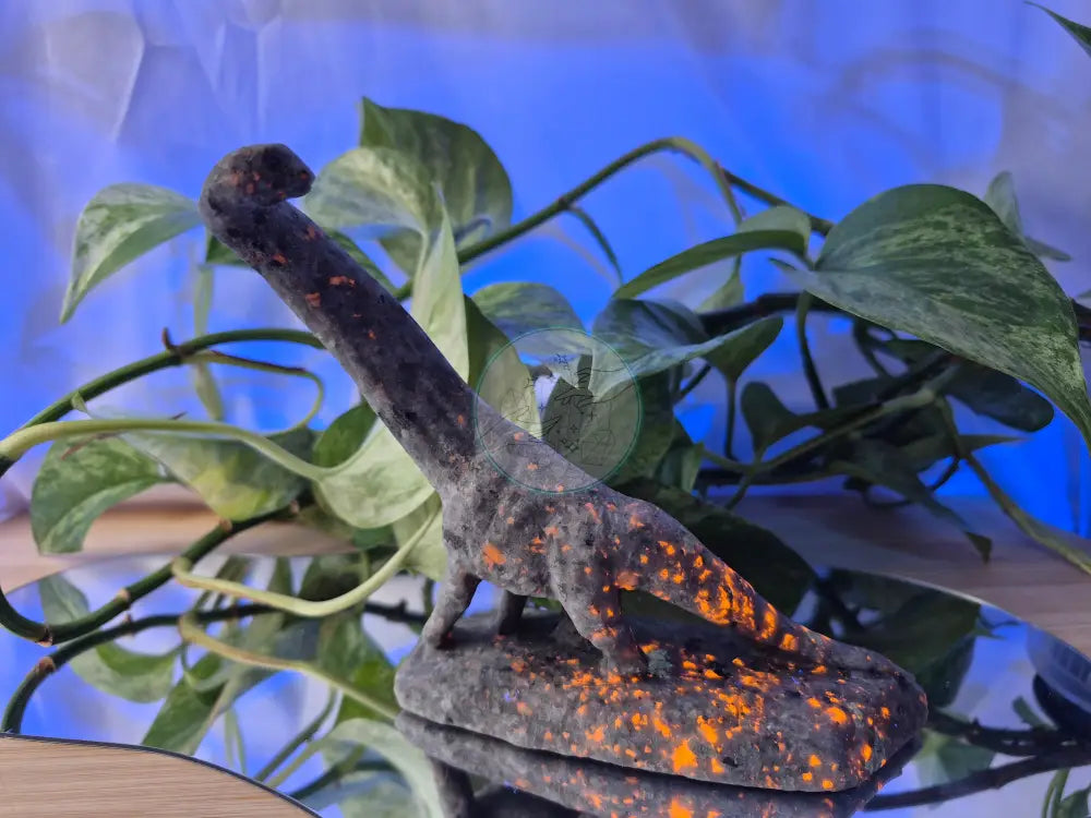 YOOPERLITE BRONTOSAURUS
