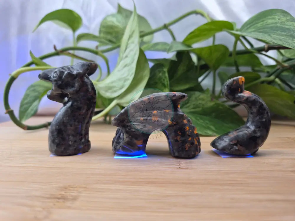 YOOPERLITE DRAGON 3 PIECE