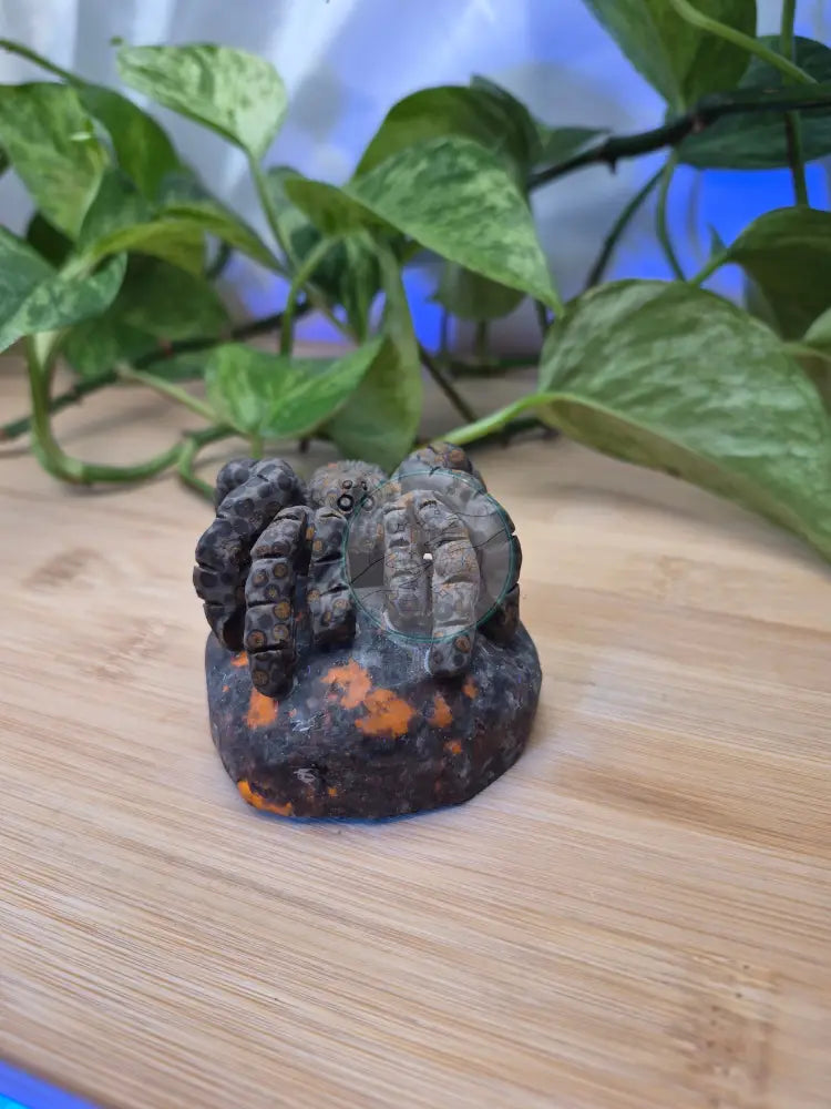 YOOPERLITE/LEOPARDITE TARANTULA