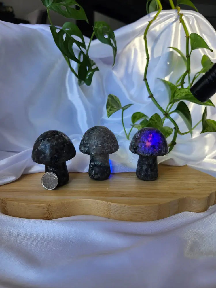 YOOPERLITE MUSHROOM - CARVING