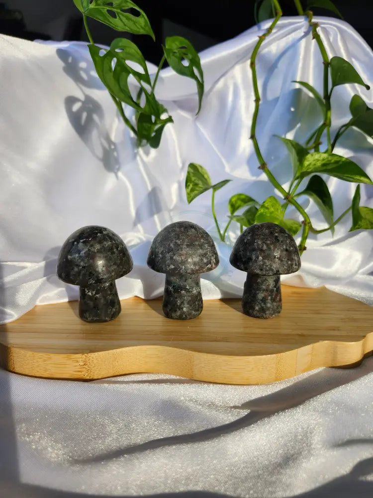 YOOPERLITE MUSHROOM - CARVING