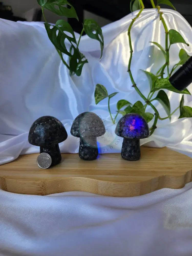 YOOPERLITE MUSHROOM - CARVING