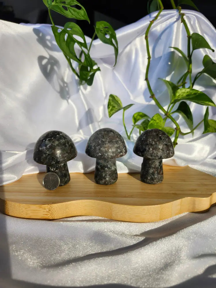 YOOPERLITE MUSHROOM - CARVING