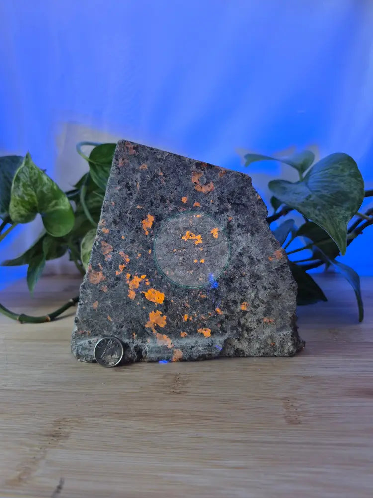 YOOPERLITE ROUGH CHUNK 1813g