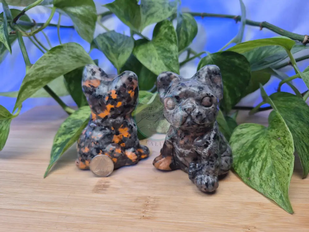 YOOPERLITE SITTING DOG