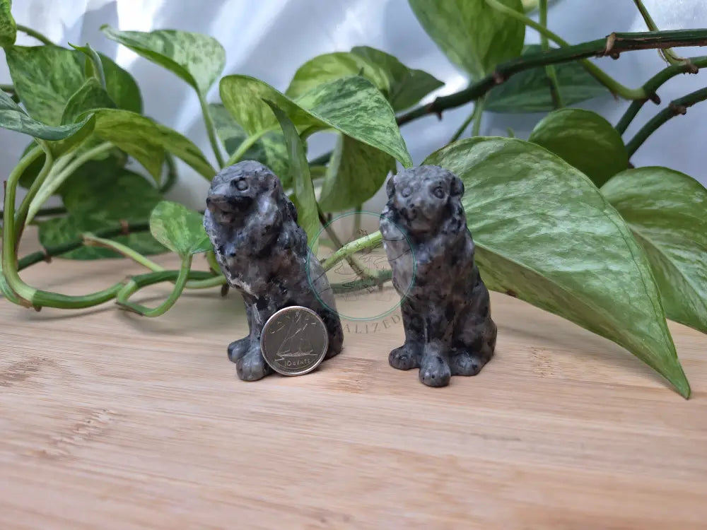 YOOPERLITE SITTING LION