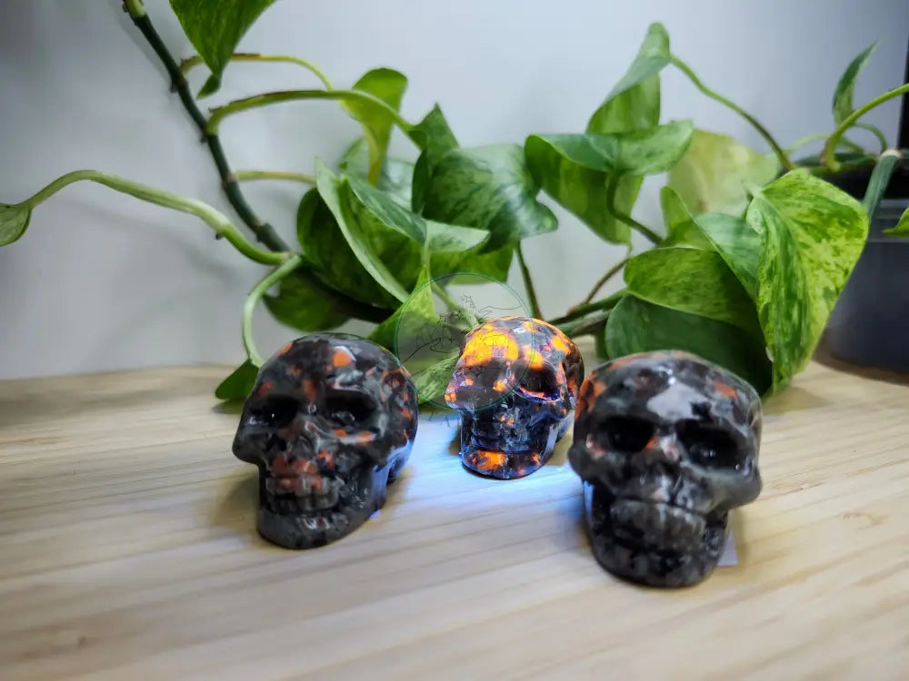 YOOPERLITE SKULL