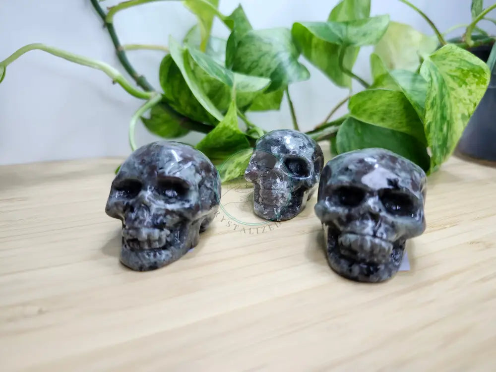 YOOPERLITE SKULL