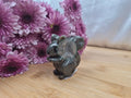 YOOPERLITE SQUIRREL