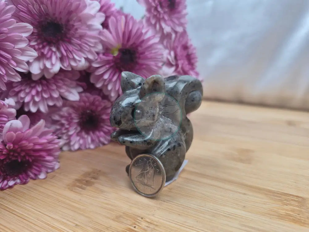 YOOPERLITE SQUIRREL
