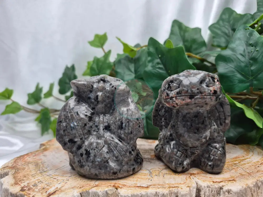 YOOPERLITE TOOTHLESS